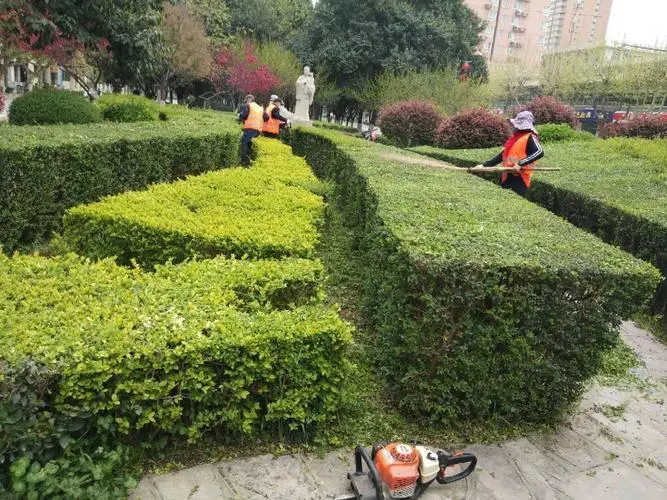 风力发电绿化工程简介怎么写